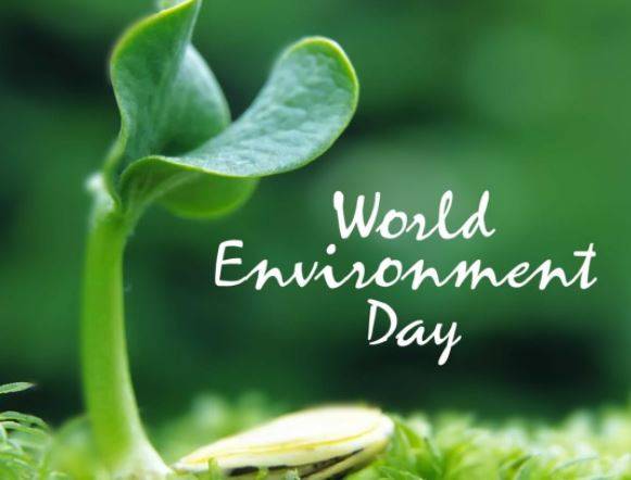 World Environment Day
